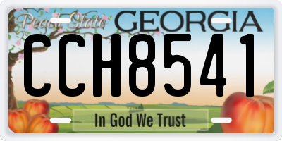 GA license plate CCH8541