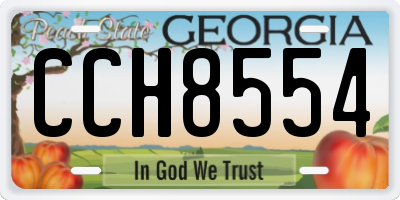 GA license plate CCH8554