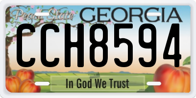 GA license plate CCH8594