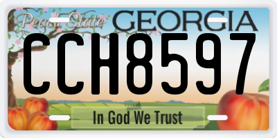 GA license plate CCH8597