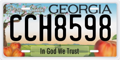 GA license plate CCH8598