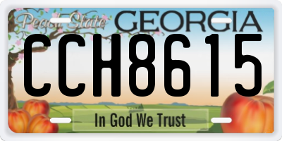 GA license plate CCH8615