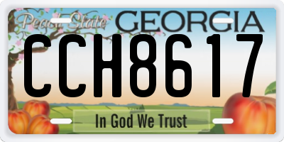 GA license plate CCH8617