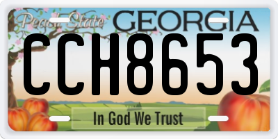 GA license plate CCH8653