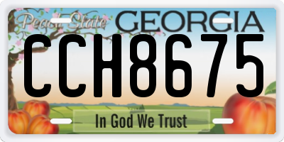 GA license plate CCH8675