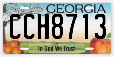 GA license plate CCH8713