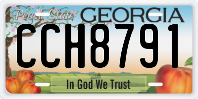 GA license plate CCH8791
