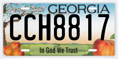 GA license plate CCH8817