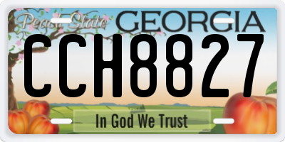 GA license plate CCH8827