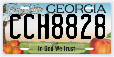 GA license plate CCH8828