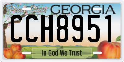 GA license plate CCH8951
