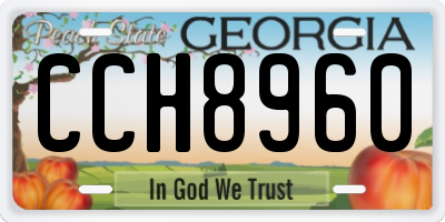 GA license plate CCH8960