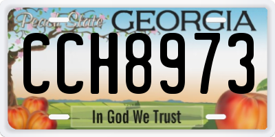 GA license plate CCH8973