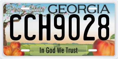 GA license plate CCH9028