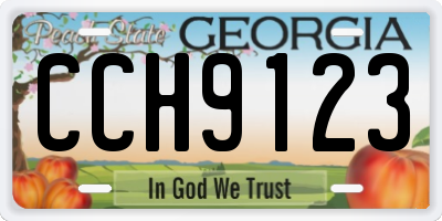 GA license plate CCH9123