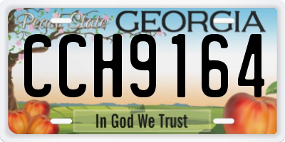 GA license plate CCH9164
