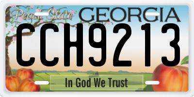 GA license plate CCH9213