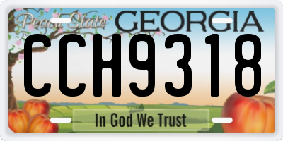 GA license plate CCH9318