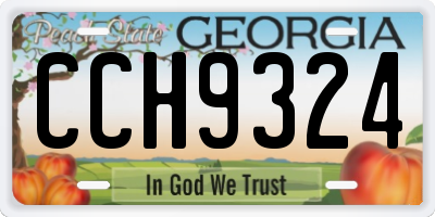 GA license plate CCH9324