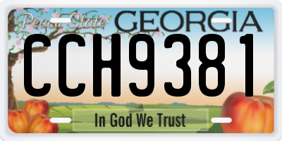 GA license plate CCH9381