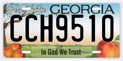 GA license plate CCH9510