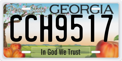 GA license plate CCH9517