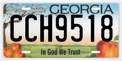 GA license plate CCH9518