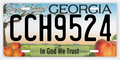 GA license plate CCH9524