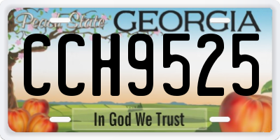 GA license plate CCH9525