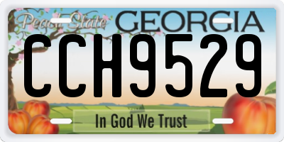 GA license plate CCH9529