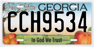 GA license plate CCH9534