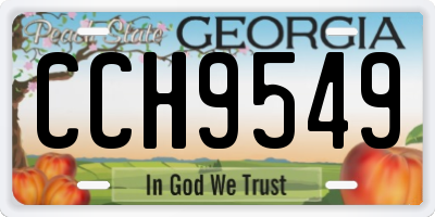 GA license plate CCH9549