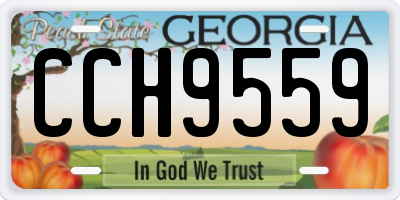 GA license plate CCH9559