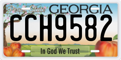 GA license plate CCH9582