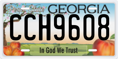 GA license plate CCH9608