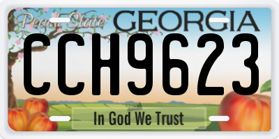 GA license plate CCH9623