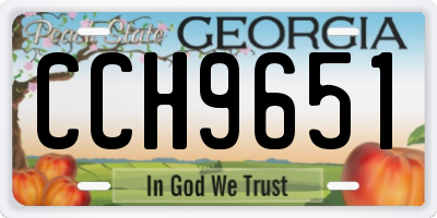 GA license plate CCH9651