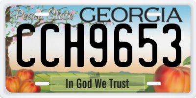 GA license plate CCH9653