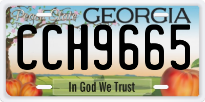 GA license plate CCH9665
