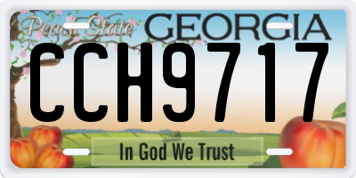 GA license plate CCH9717