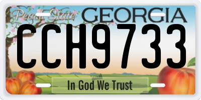 GA license plate CCH9733