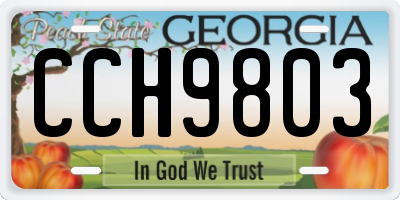 GA license plate CCH9803