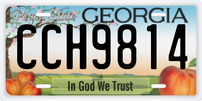 GA license plate CCH9814
