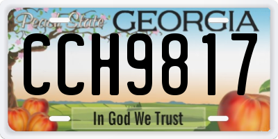 GA license plate CCH9817