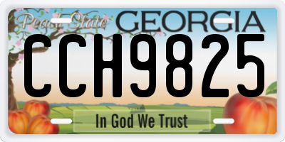 GA license plate CCH9825