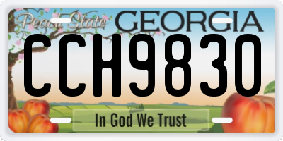 GA license plate CCH9830