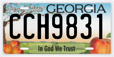 GA license plate CCH9831