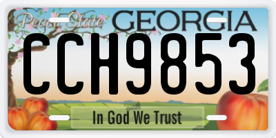GA license plate CCH9853