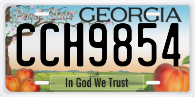GA license plate CCH9854