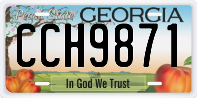 GA license plate CCH9871